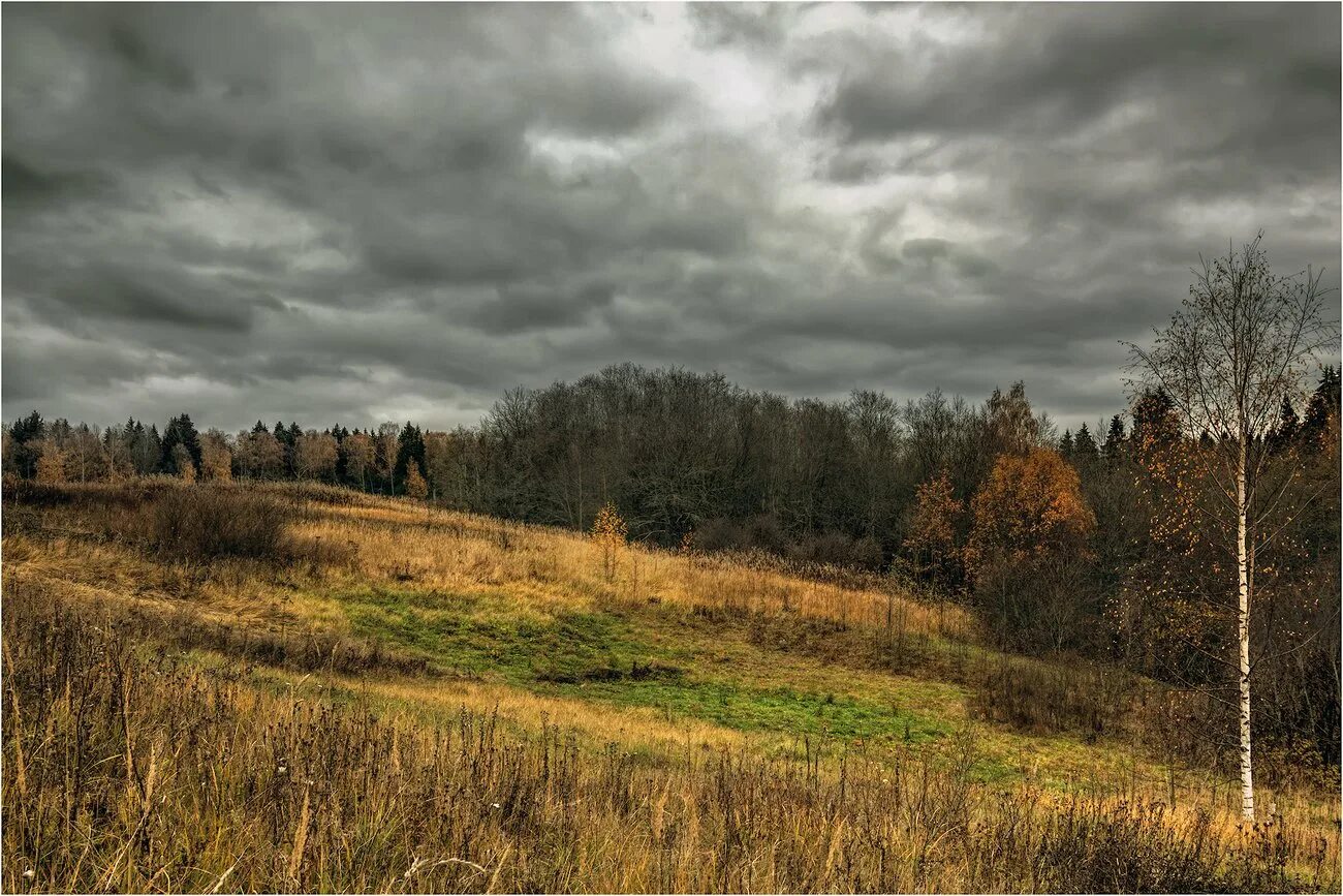 Хмурая осень. Пасмурное небо. Хмурая осень. Хмурое небо осенью. Пасмурный хмурый.