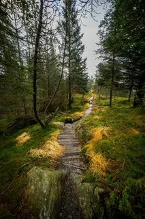 Mount path