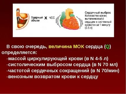 Частота сердечного выброса