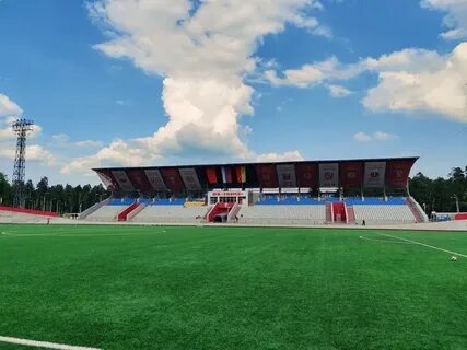 Ногинск поля