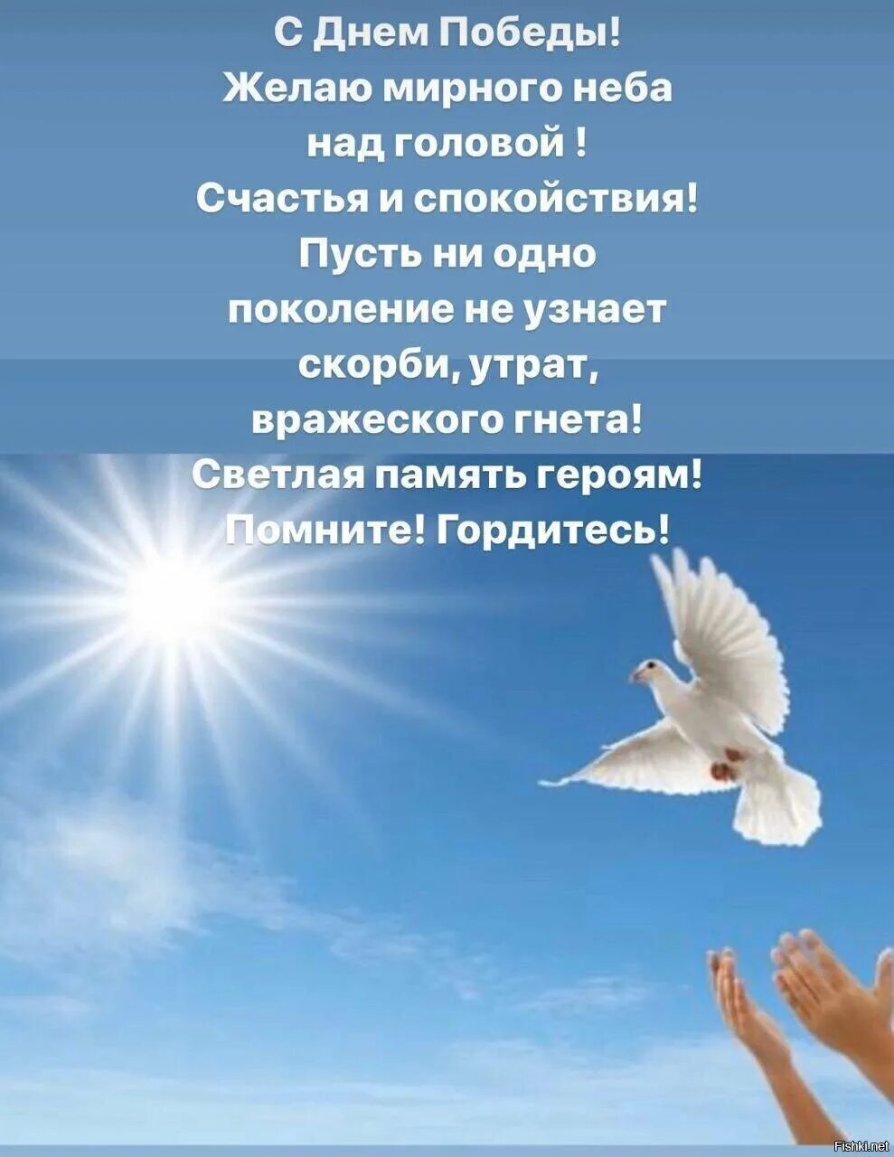 Доброго мирного неба картинки. Пожелания мирного неба. мирного неба над головой. пожелания мирного неба над головой. открытки с пожеланиями мирного неба над головой.