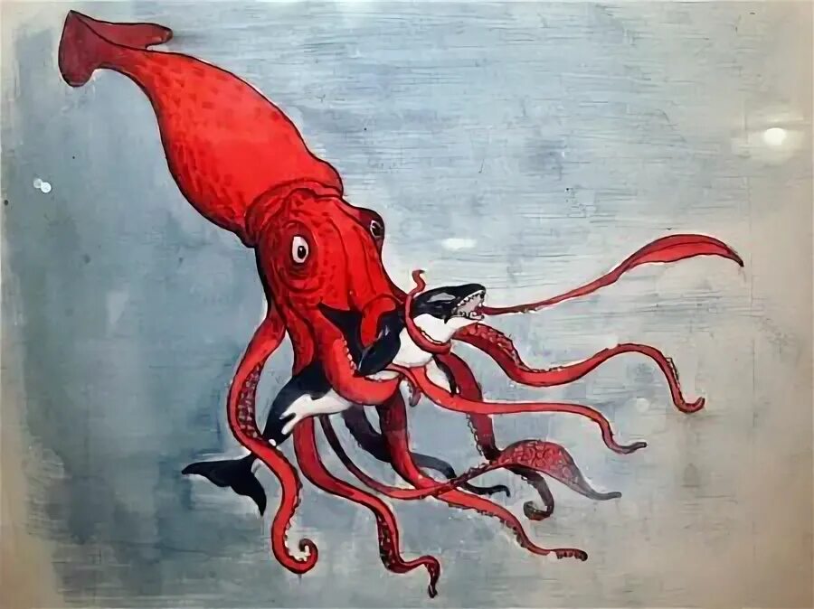 Головоногие моллюски кальмар. Игра в кальмары красные. Одноглазый осьминог. Octopoteuthis deletron. Фигурка safari ltd гигантский кальмар 277829.