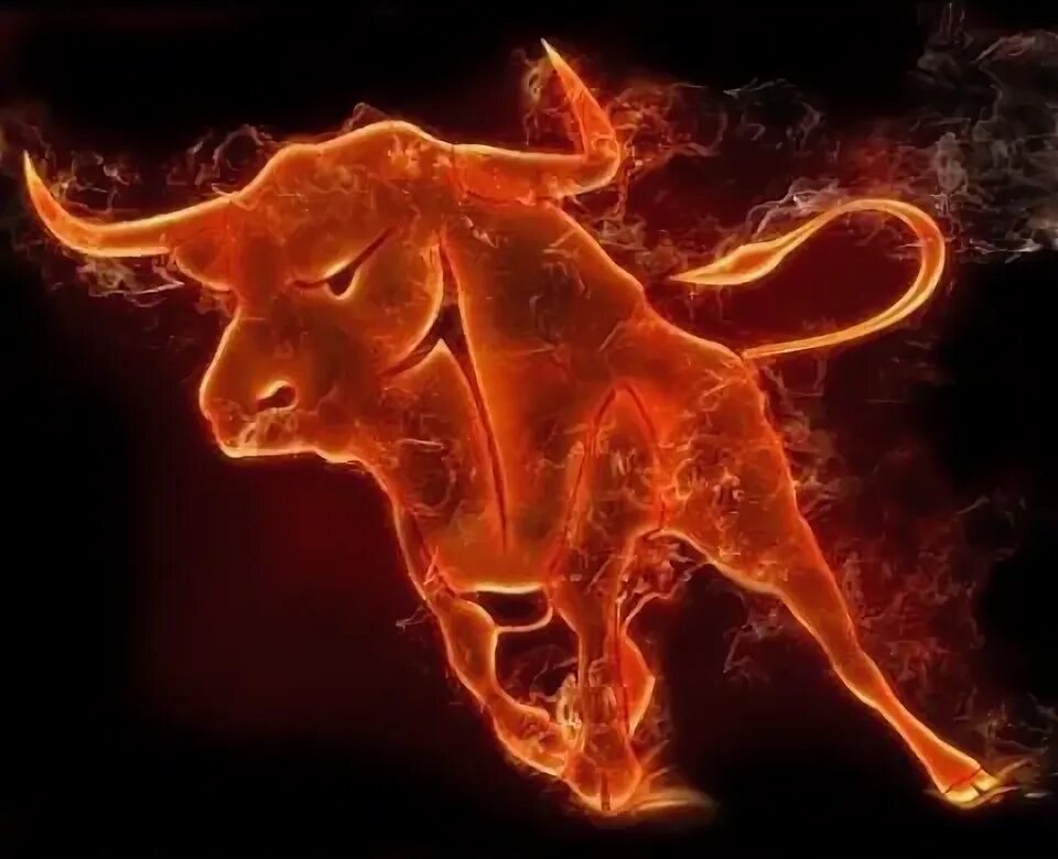 Бык символ. Стрелец и бык. Красный огненный бык. Sagittarius sign. Характеристика людей рожденных в год быка.