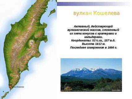 Вулканы камчатки индивидуальный номер и год внесения