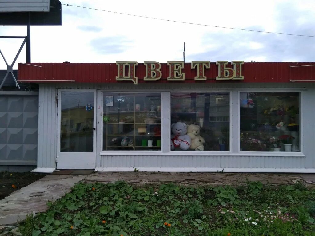 Магазин цветов казань. Цветочный магазин сияй казань. Магазин цветов ботаника. Цветочный магазин казань. Магазины цветов в казани цвет.