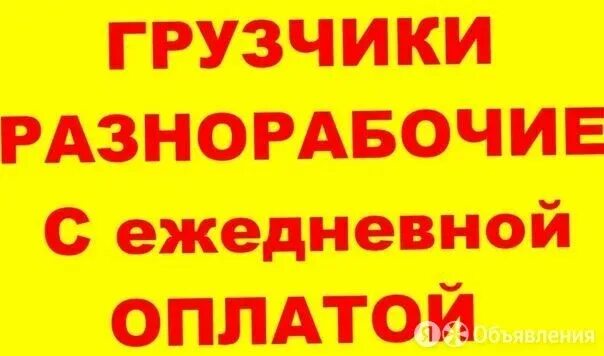 С ежедневной оплатой на карту. Требуются грузчики разнорабочие оплата ежедневно. требуется грузчик разнорабочий. разнорабочие с ежедневной оплатой. разнорабочий грузчик с ежедневной оплатой.