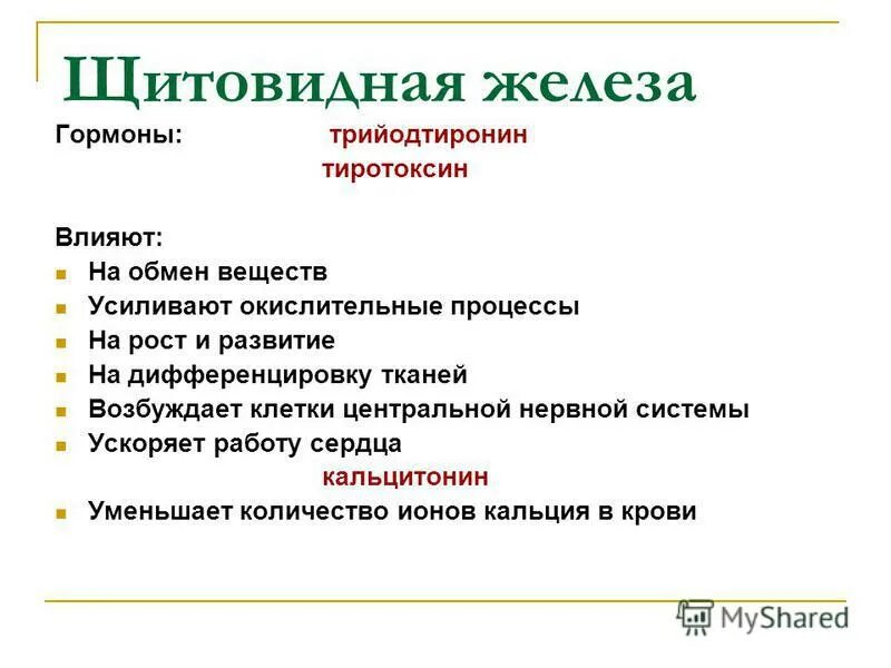 Гормон роста и гормоны щитовидной. Какое действие оказывают гормоны щитовидной железы на организм. На какой вид обмена влияют гормоны щитовидной железы. Влияние гормонов щитовидной железы на основной обмен. Влияние гормонов щитовидной железы на обменные процессы.