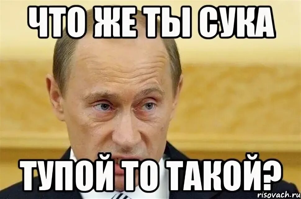 Мемы про Путина. Жалкая сука