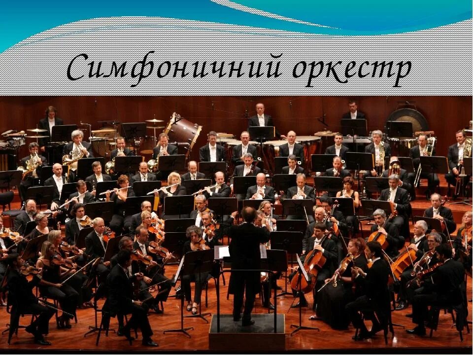 Как называется произведение для оркестра. Симфонический оркестр чили 20век. инструменты симфония оркестра. иллюстрация симфонического оркестра. симфонический оркестр для детей.