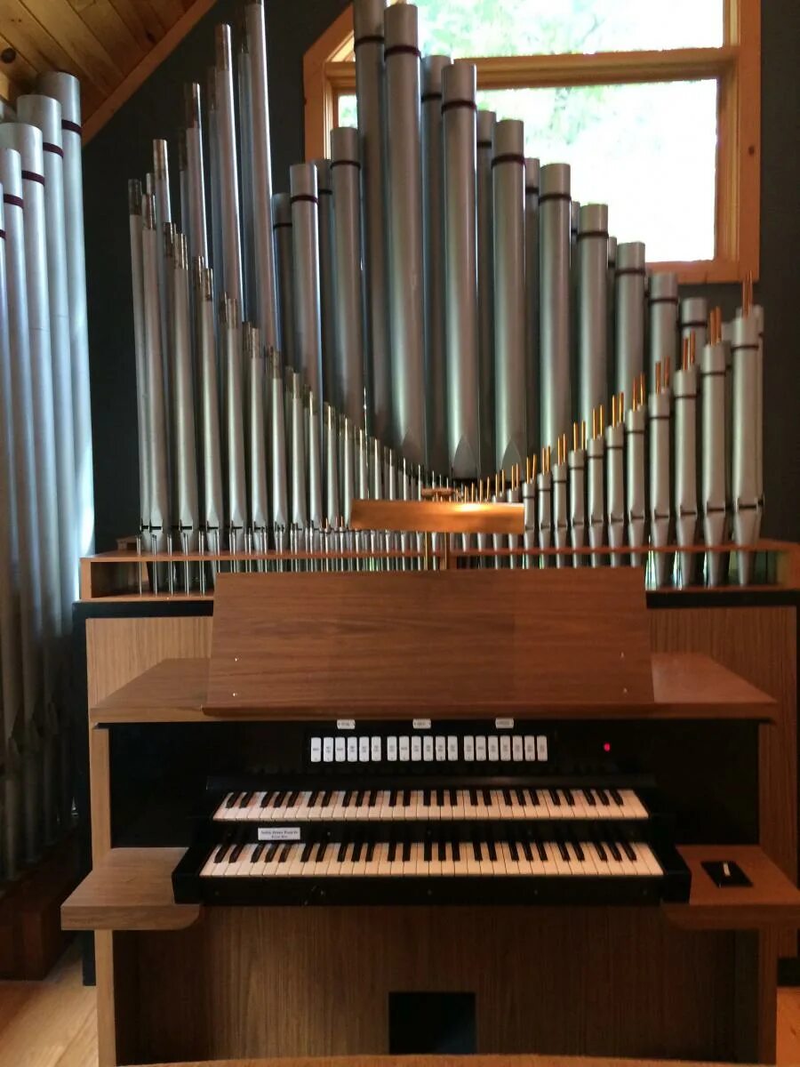 необычные инструменты. маленькие музыкальные инструменты. октобас струнный музыкальный инструмент. самый низкий музыкальный инструмент. регаль музыкальный инструмент.