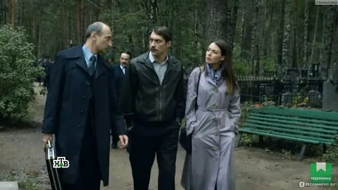 Статья последнее ютуб