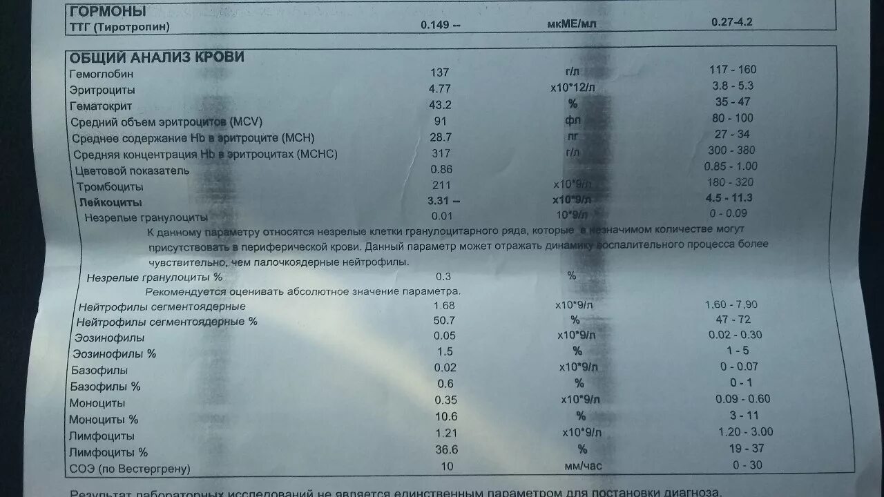 Нейтрофилы сегментоядерные у женщины. Гранулоциты в анализе крови. сегментоядерные нейтрофилы в анализе крови. уровень гранулоцитов в крови. сегментоядерные нейтрофилы норма у женщин.