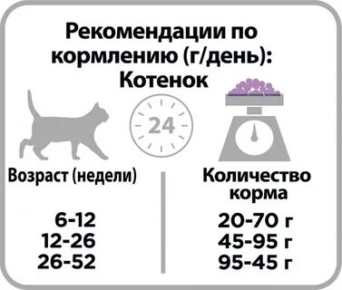 Сколько котенку нужно сухого корма в день