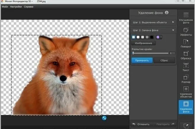 Удалить белый фон с изображения. Программа для вырезания объекта из фотографий. удалить фон с изображения. приложение для вырезки фото. приложение для вырезания фотографий.