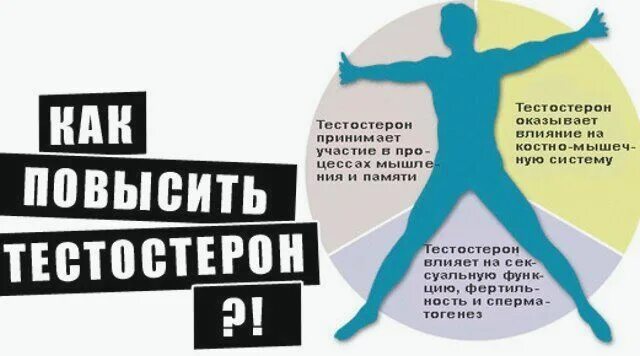 Как повысить тестостерон. Что повышает тестостерон. КПК повысить тестостерон. Тестостерон у мужчин. Симптомы пониженного тестостерона у мужчин