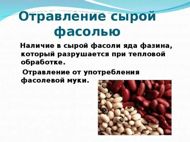 Отравление сырой фасолью. Причины отравления сырой фасолью. Сырая фасоль ядовитые вещества. Фасоль можно кормящим