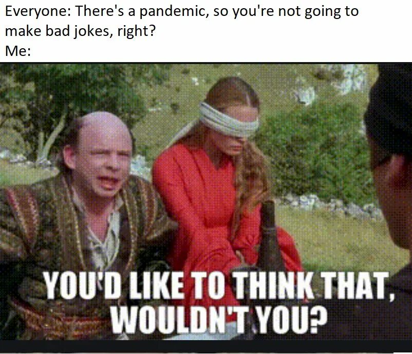 I wouldn t like. Princess bride bloopers. didn&#039;t think of that gif. wouldn t you know it. you&#039;d vdy.