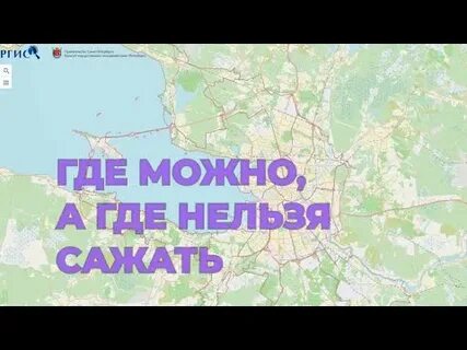 Видео где нельзя