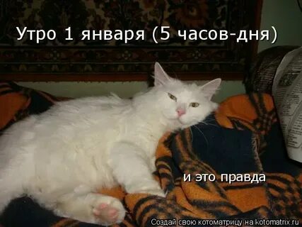 Под утро 1 час