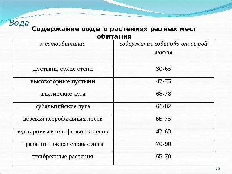 Содержание воды в растениях. Содержание воды в различных растениях. Растения с большим содержанием воды. Содержание воды в растениях и их частях.