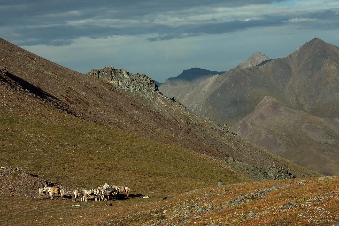 Горы хребет черского. Горы хребет черского. Верхоянский хребет якутия. Хребет черского индигирка. Хребет черского (северо-восточная сибирь).