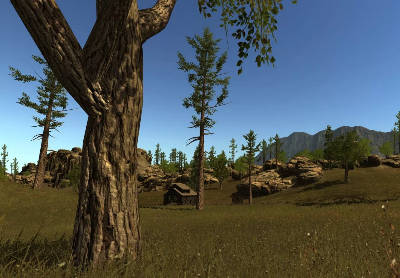 Rust file. Тундра rust. Rust file. Раст. Раст легаси.