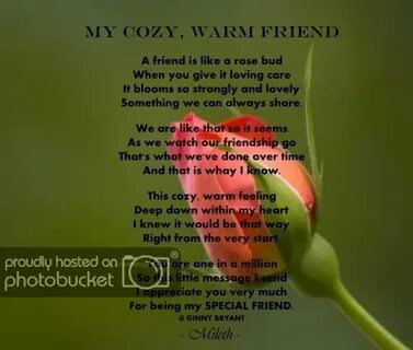 My very like friend