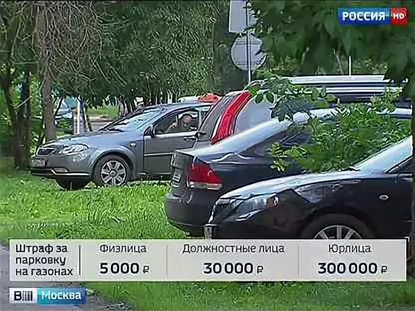Какой штраф за газон