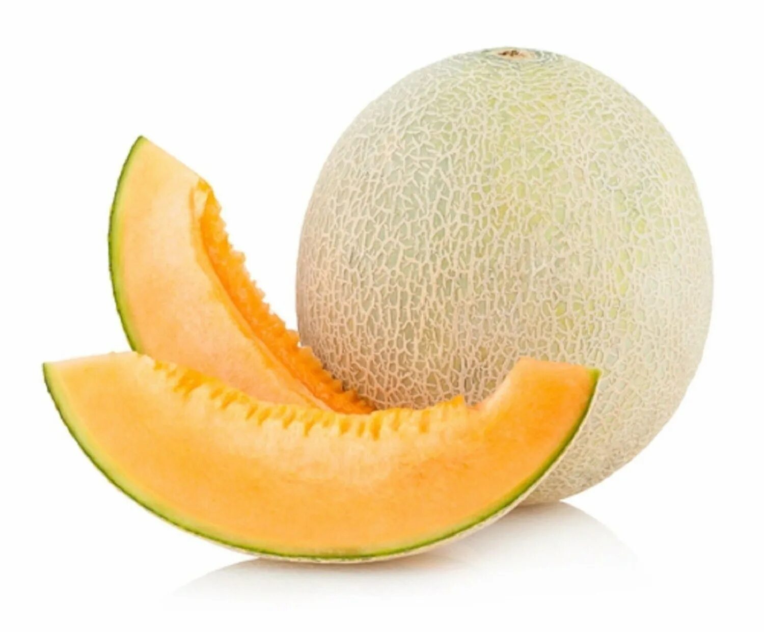 Melon 1