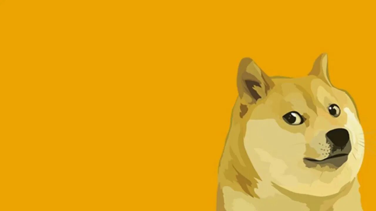Обои на пк с мемом горящая собака. Doge 2. Dogecoin bitcoin. Обои на пк с мемом горящая собака. Doge 2.
