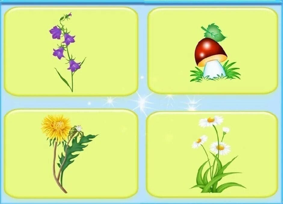 Растения вторая младшая группа планирование. Дидактическая игра четвертый лишний. Карточки четвертый лишний. Карточки с изображением цветов. Растения для дошкольников старшая группа.