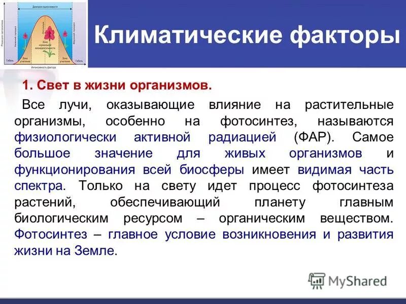 температура в жизни организмов. климатические факторы в месте проживания. климатические факторы. климатические факторы. эколого-географическое районирование территории россии карта.