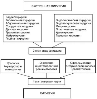 Этапы специализации