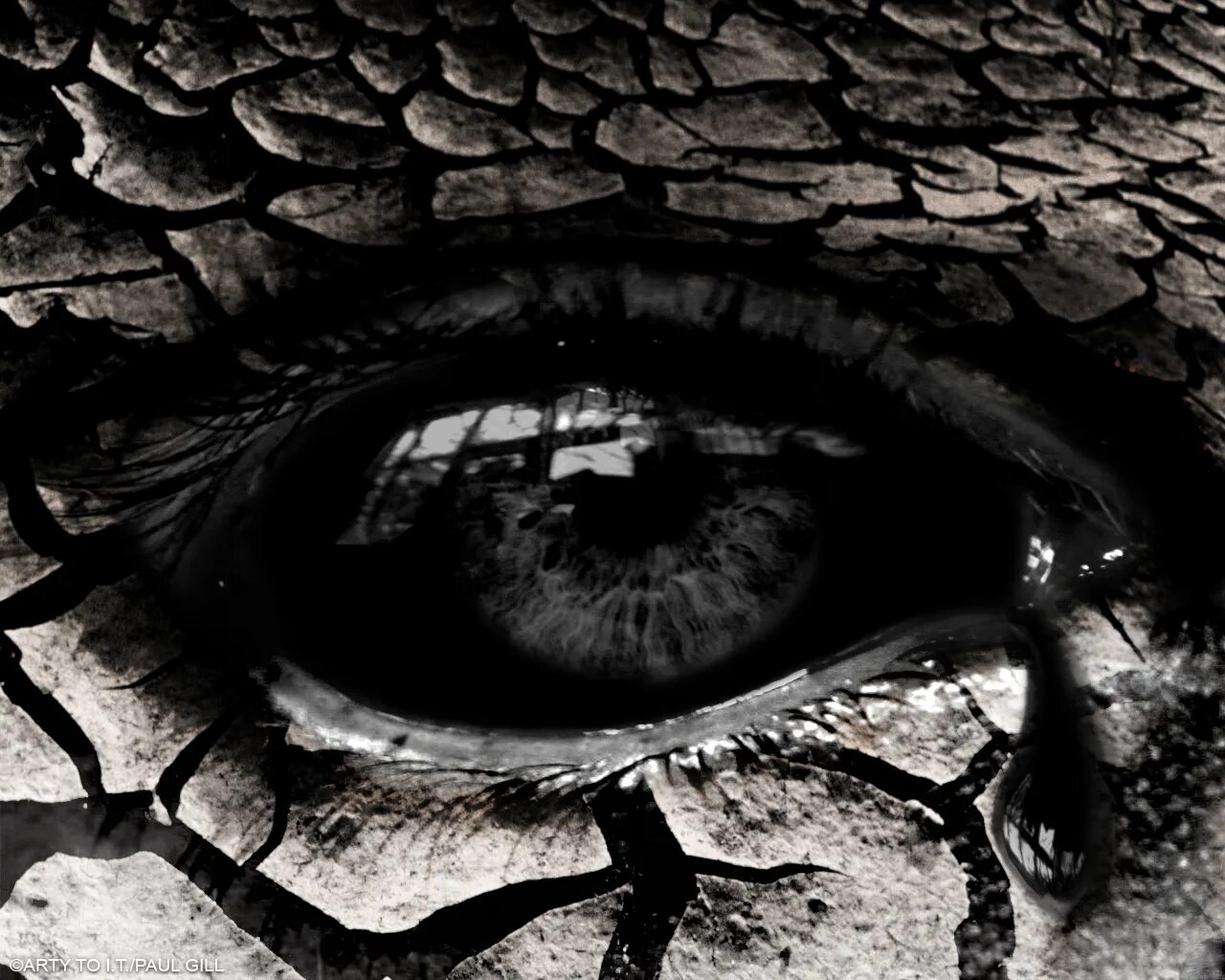 Dark eyed they were. Глаза в темноте. Глаза арт. Глаза молодых лун. Dark eyed they were.