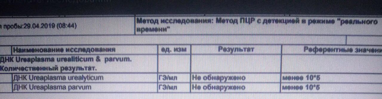 Ureaplasma parvum у мужчин что это. Ureaplasma SPP норма. Уреаплазма количественный анализ. Количественный анализ на уреаплазму. Уреаплазма количественный метод.