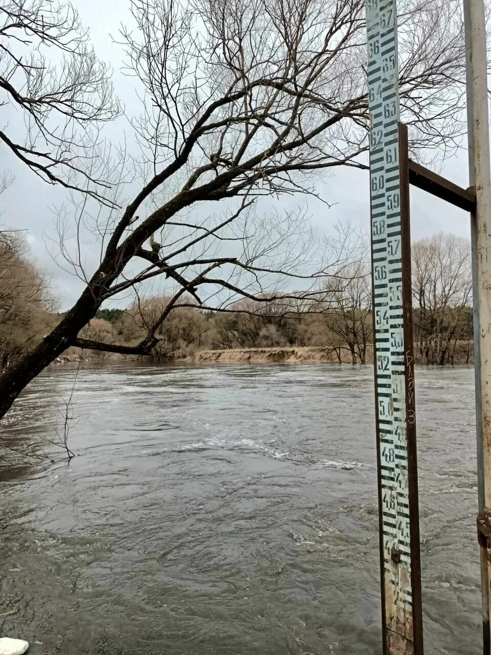 Уровень воды в обнинске сегодня. Разлив Оки 2023 в Калуге. Паводок 2022 Калуга. Обнинск Протва 2022. Обнинск Протва наводнение.