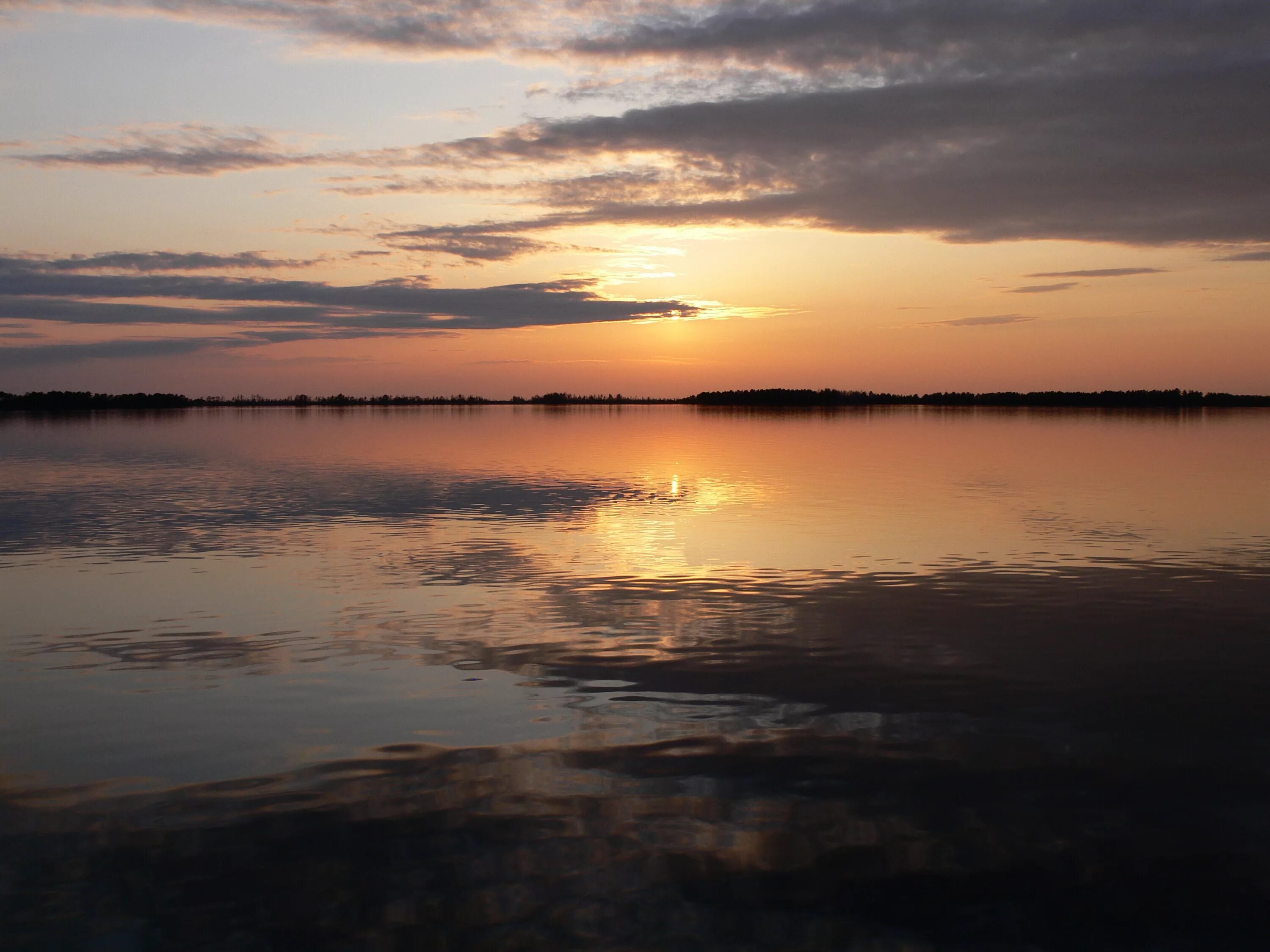 Исток реки васюган. Озеро мирное томская область. Васюган притоки оби. Васюганские болота заповедник. Васюган.