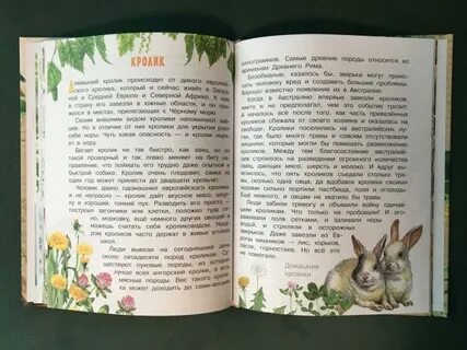Домашние животные читать
