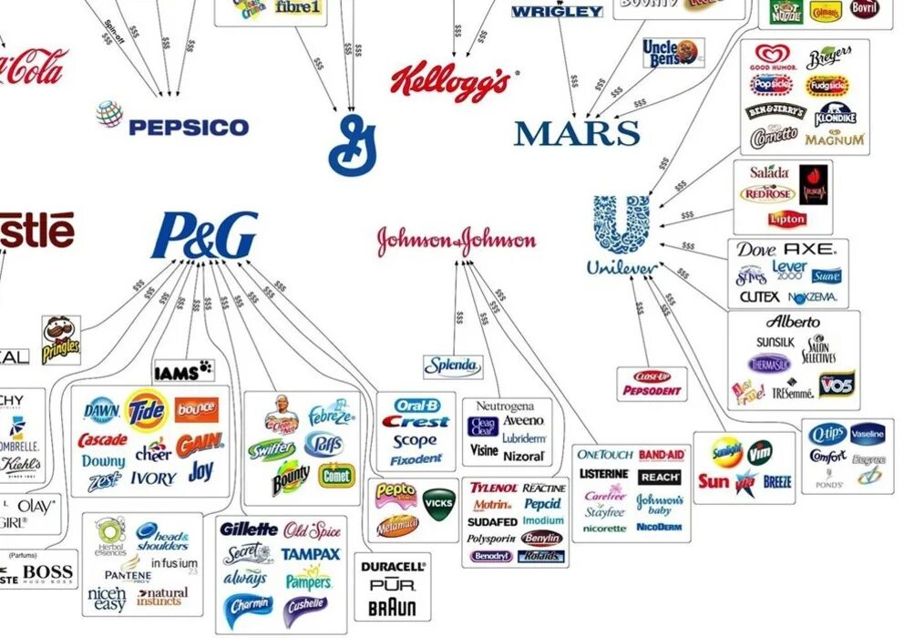 Мировых компаний производителей. Кому принадлежат бренды. Мировые корпорации бренды. Схема брендов корпораций. Бренды транснациональных корпораций.