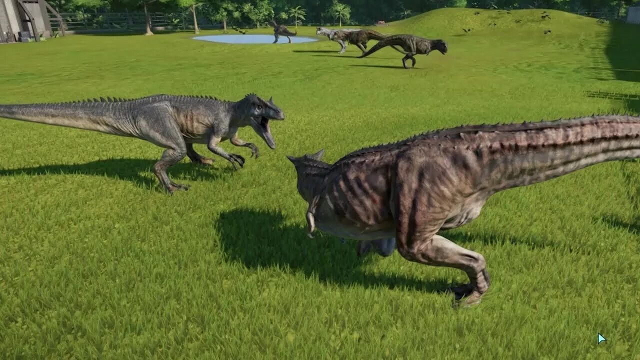 Карнотавр аллозавр. Тираннозавр и карнотавр. аллозавр и карнотавр. аллозавр jurassic world evolution. карнотавр vs аллозавр.