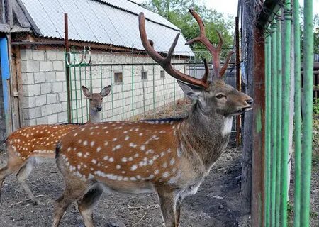 Фгбу нп хвалынский октябрьская ул 2б хвалынск