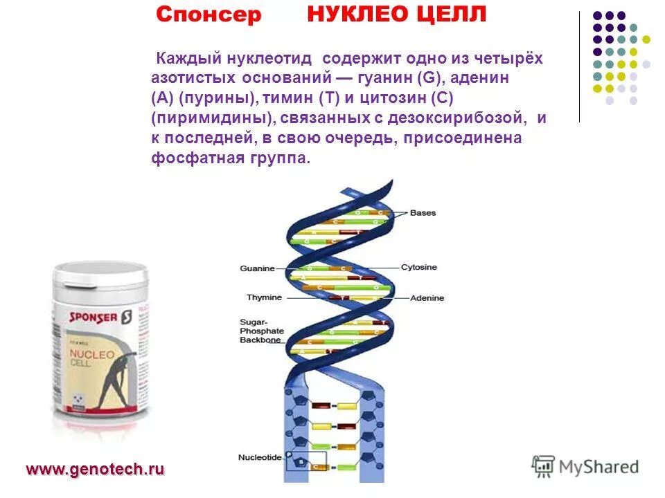 с какими рисками сопряжено использование спортсменом бад. специализированное спортивное питание. применение биологически активных добавок в питании. использование бад в спорте. с какими рисками сопряжено использование спортсменом бад.