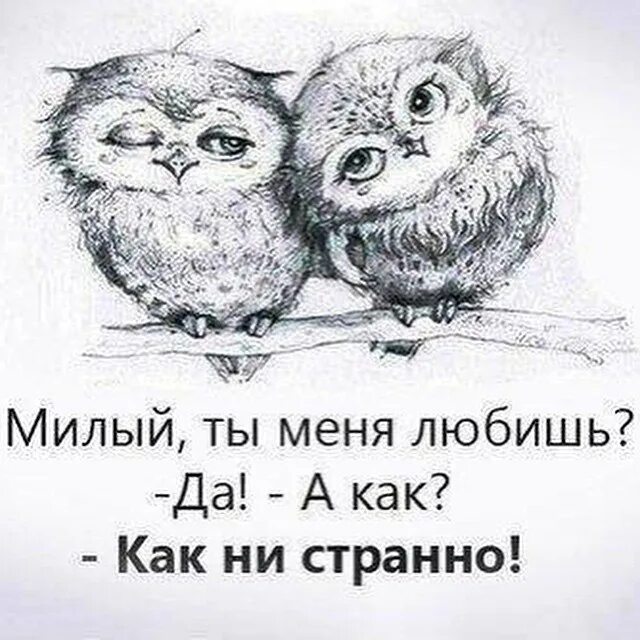 Как ни парадоксально