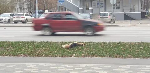 Вторые сутки