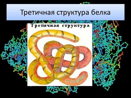 10 белков