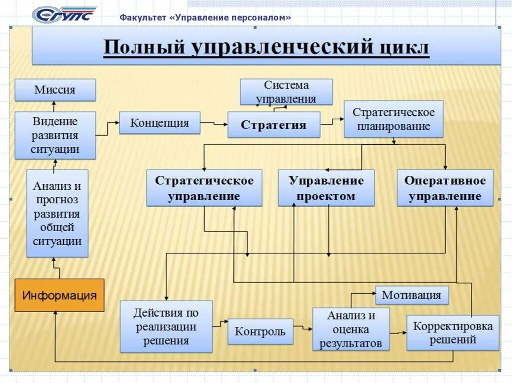 Виды кафедры. Кафедра управления персоналом. Факультет управления персоналом. Виды кафедр. Управленческие факультеты.