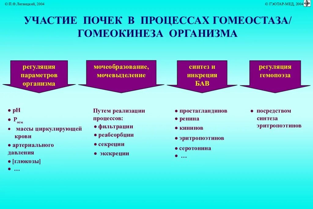 Основные группы бав. Синтез биологически активных веществ в почках. Почки вырабатывают активные биологические вещества. Биологически активные вещества вырабатываемые почками. Биологически активные вещества, образующиеся в почках.