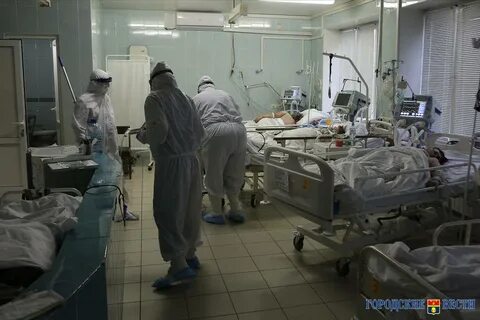 Коронавирус волгоград