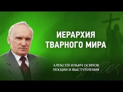Тварный это
