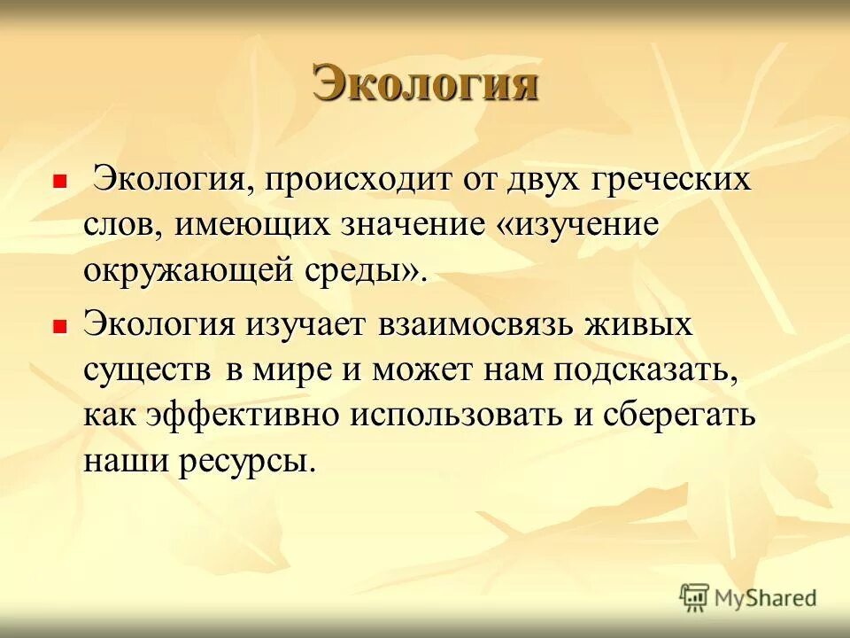 Происходит от 2 греческих слов